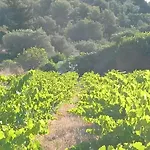La Naronne *
