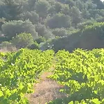 La Naronne Holiday home Bandol