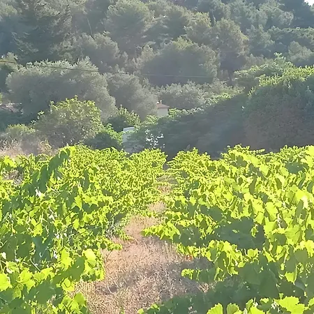 La Naronne Feriehus Bandol